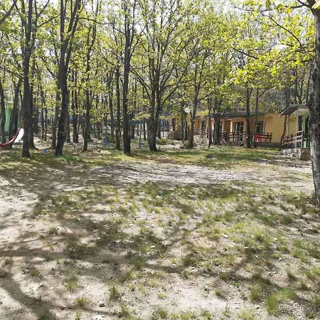 дъбрава * Skorpilovci