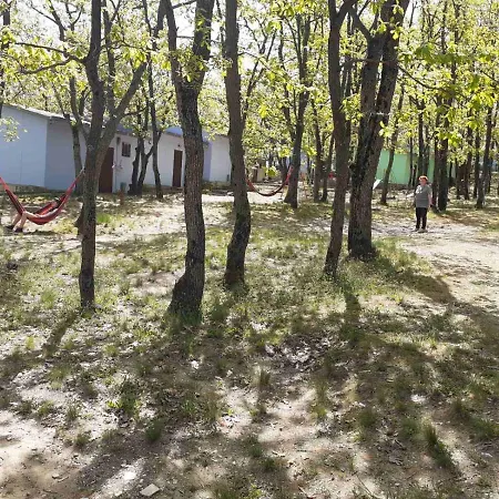 дъбрава Campingplatz *