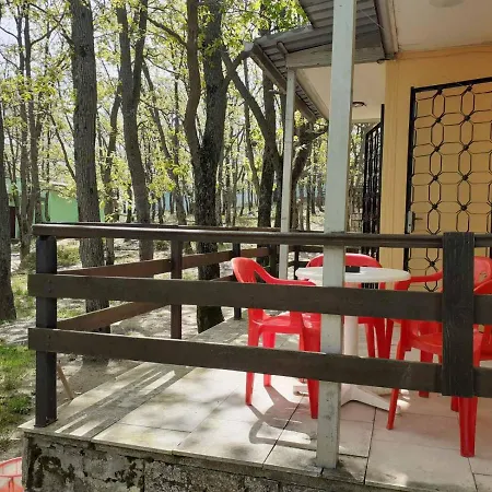 дъбрава Campingplatz