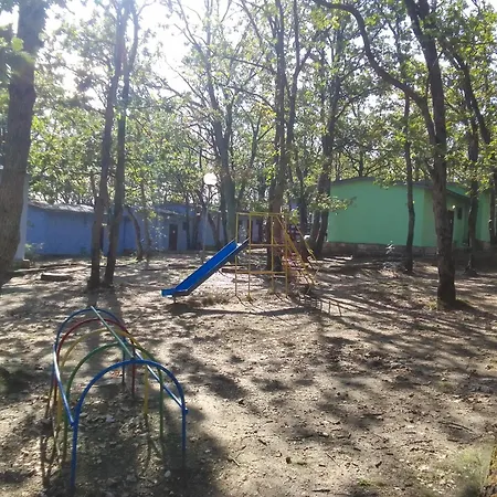 дъбрава Shkorpilovtsi