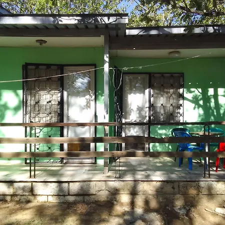 дъбрава * Shkorpilovtsi