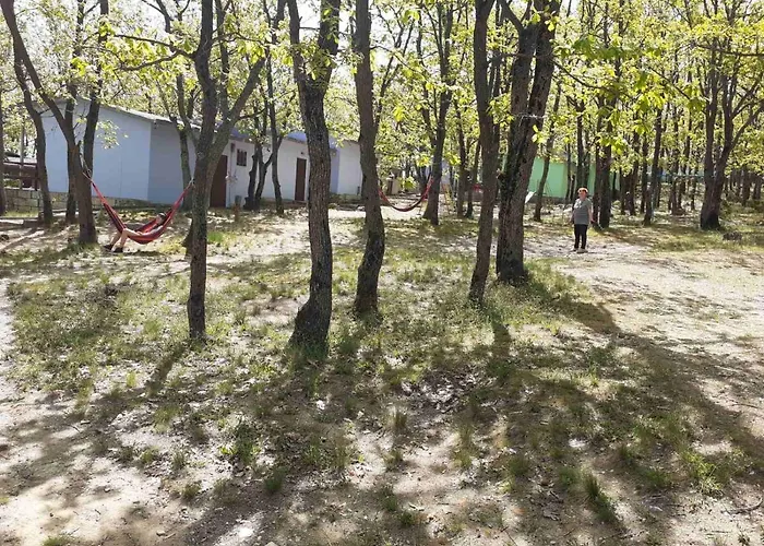 дъбрава Campingplads *