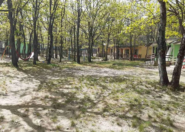 дъбрава * Shkorpilovtsi