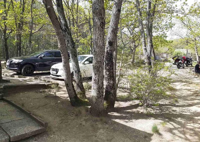 дъбрава * Shkorpilovtsi