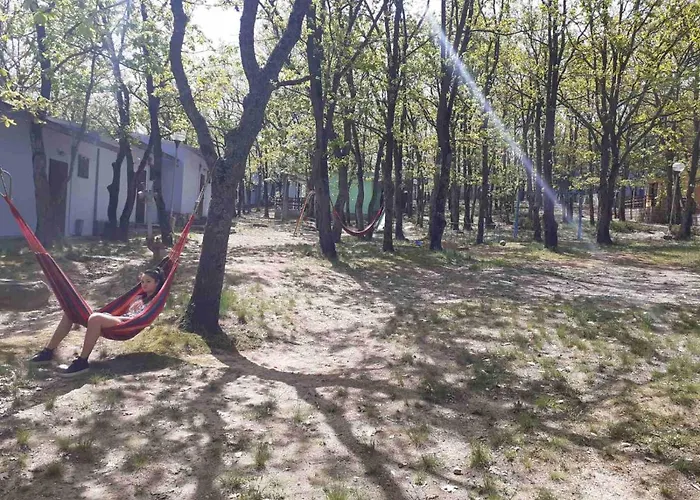 дъбрава Campingplads