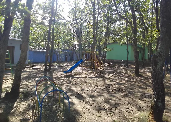 дъбрава Shkorpilovtsi