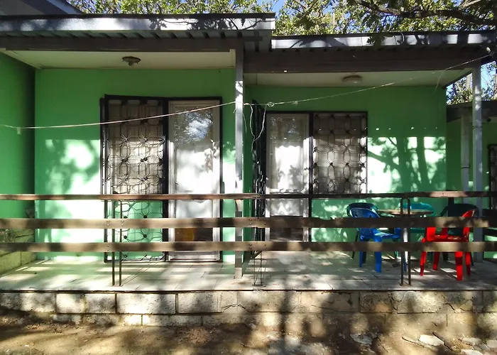 дъбрава * Shkorpilovtsi